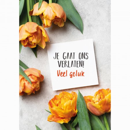 Pensioen Je gaat ons verlaten veel geluk