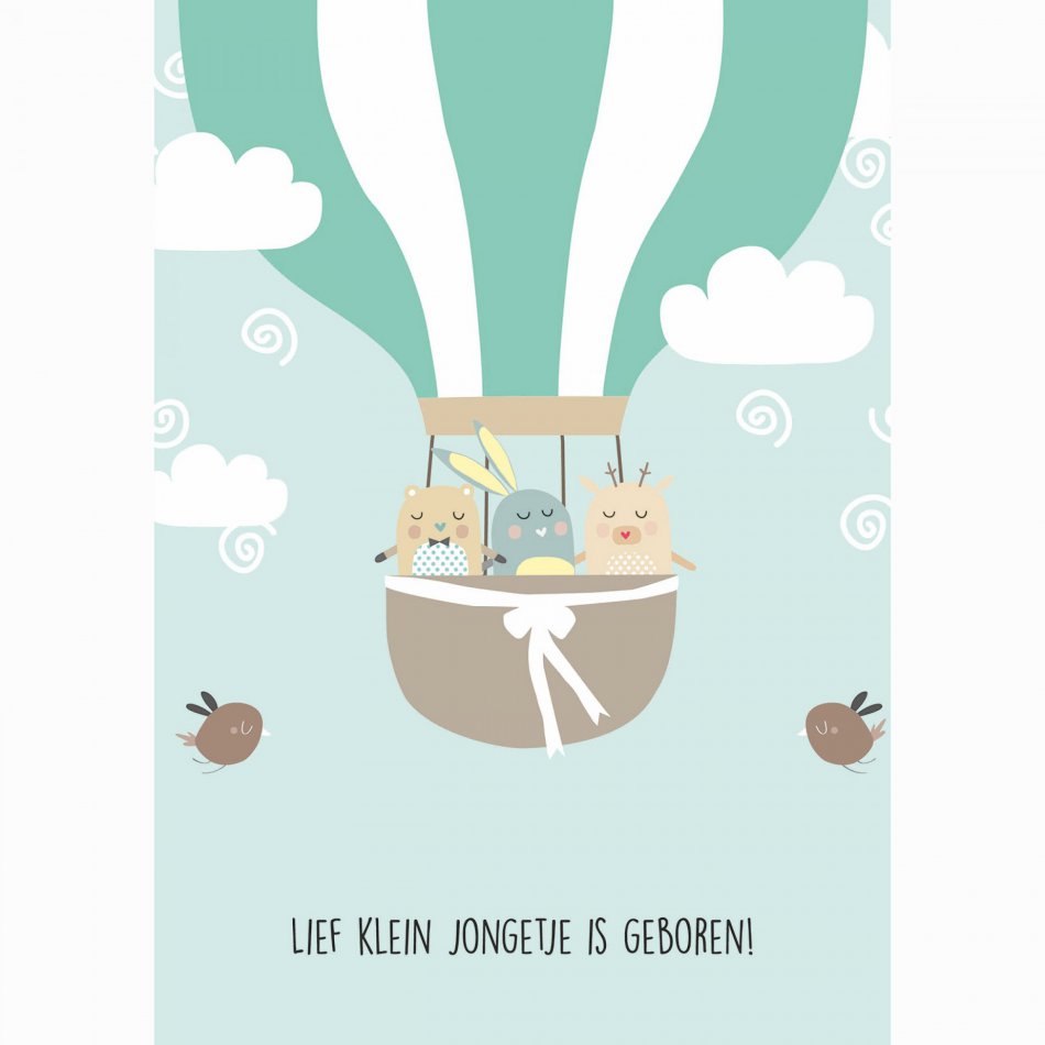 Geboorte Lief klein jongetje is geboren