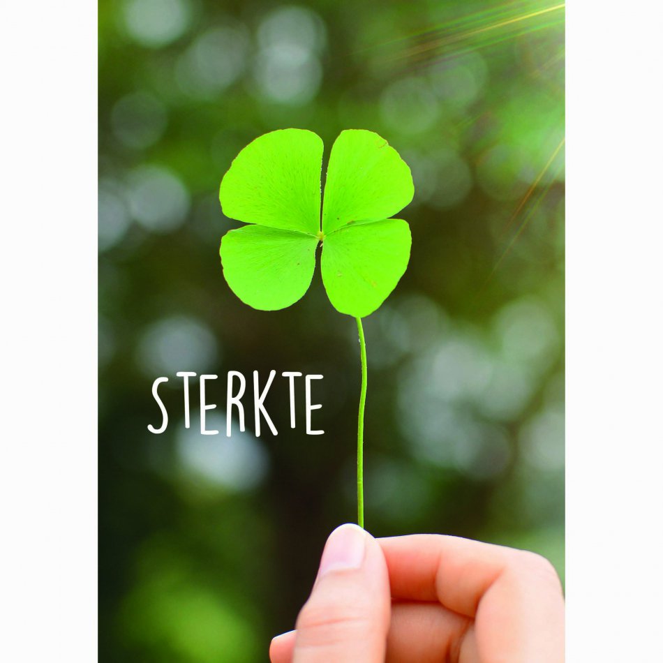 Beterschap Sterkte - klavertje vier