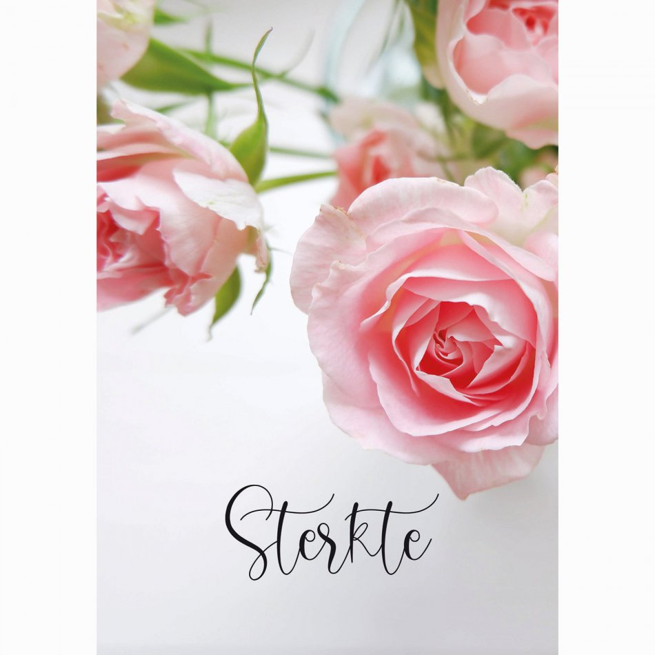 Kaart Condoleance Rose