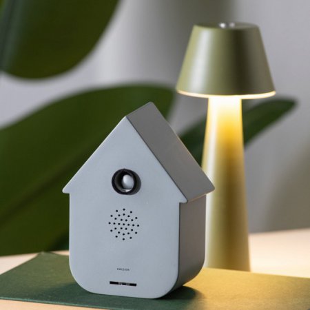 Sound box Modern Cuckoo mouse grey